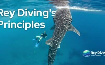 7 Rey Diving’s Principles