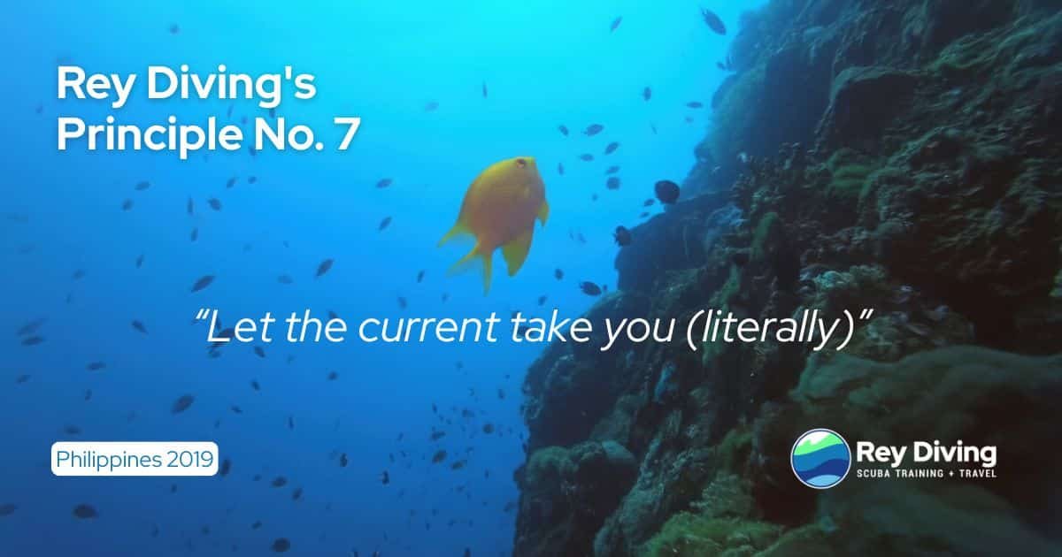 Rey Diving’s Principles 7