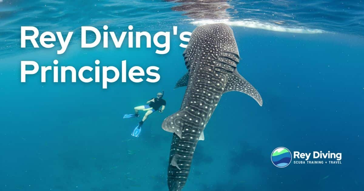 Rey Diving's Principles