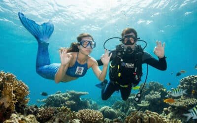 Mermaid & Advanced Mermaid Bundle