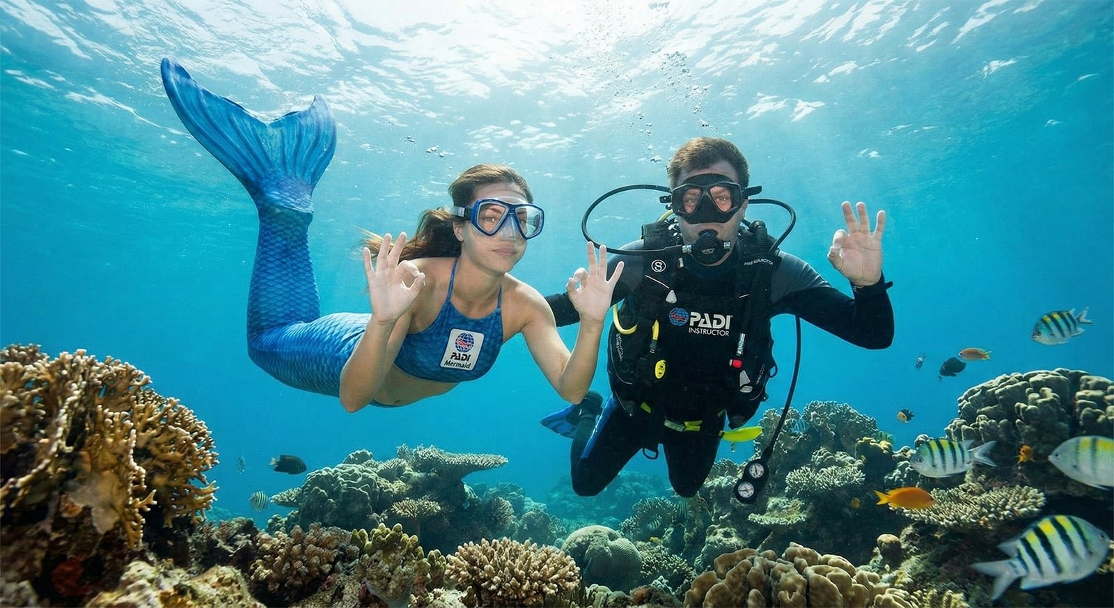 Mermaid & Advanced Mermaid Bundle